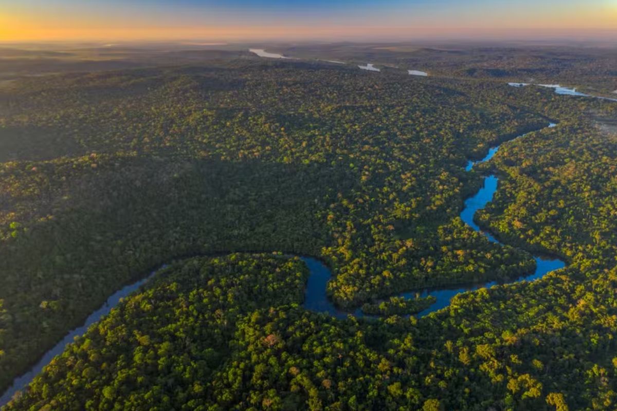 Justiça decide extinguir parque de conservação na Amazônia de MT