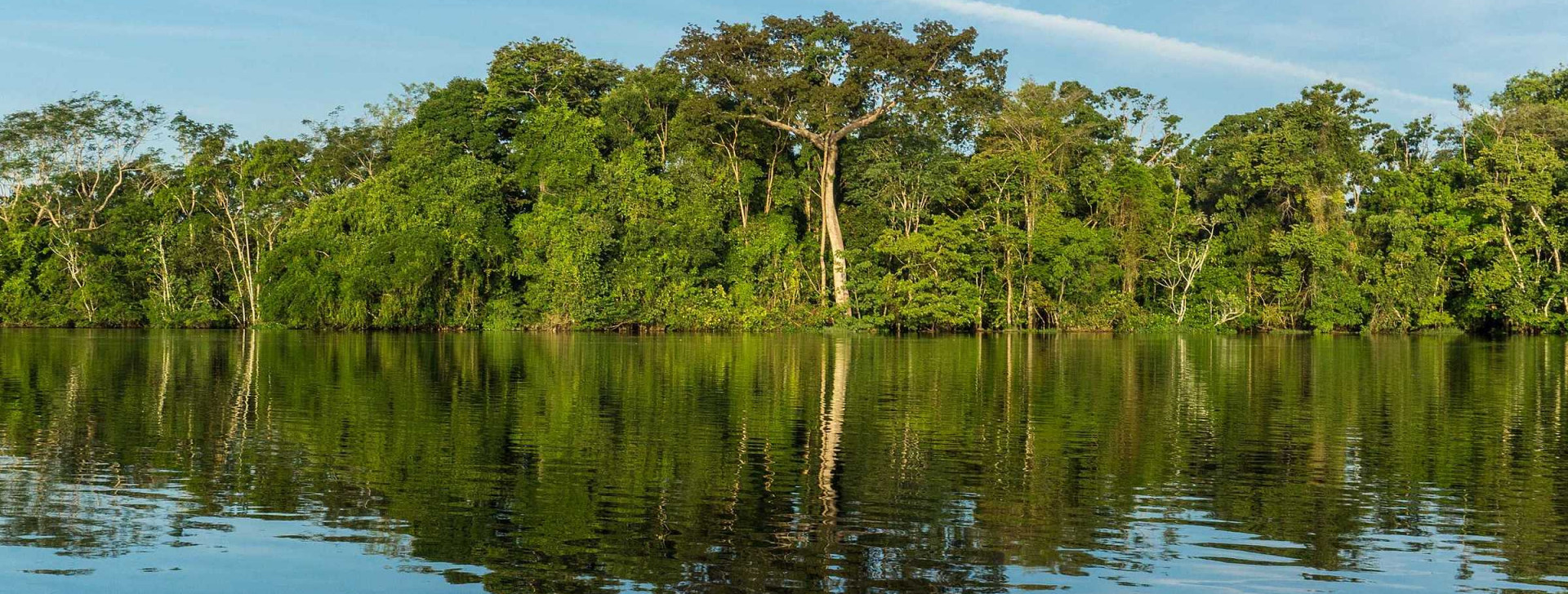 UEA: inscrições para ‘Prêmio de Turismo Maria Helena Fonseca’ seguem até 8 de maio