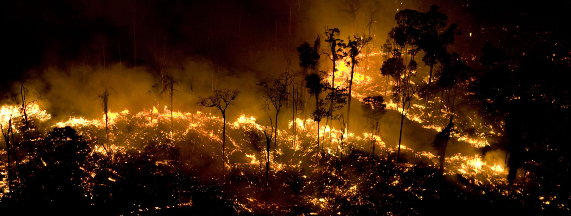 Amazônia: incêndios em áreas de floresta nativa cresceram 152% em 2023, aponta estudo
