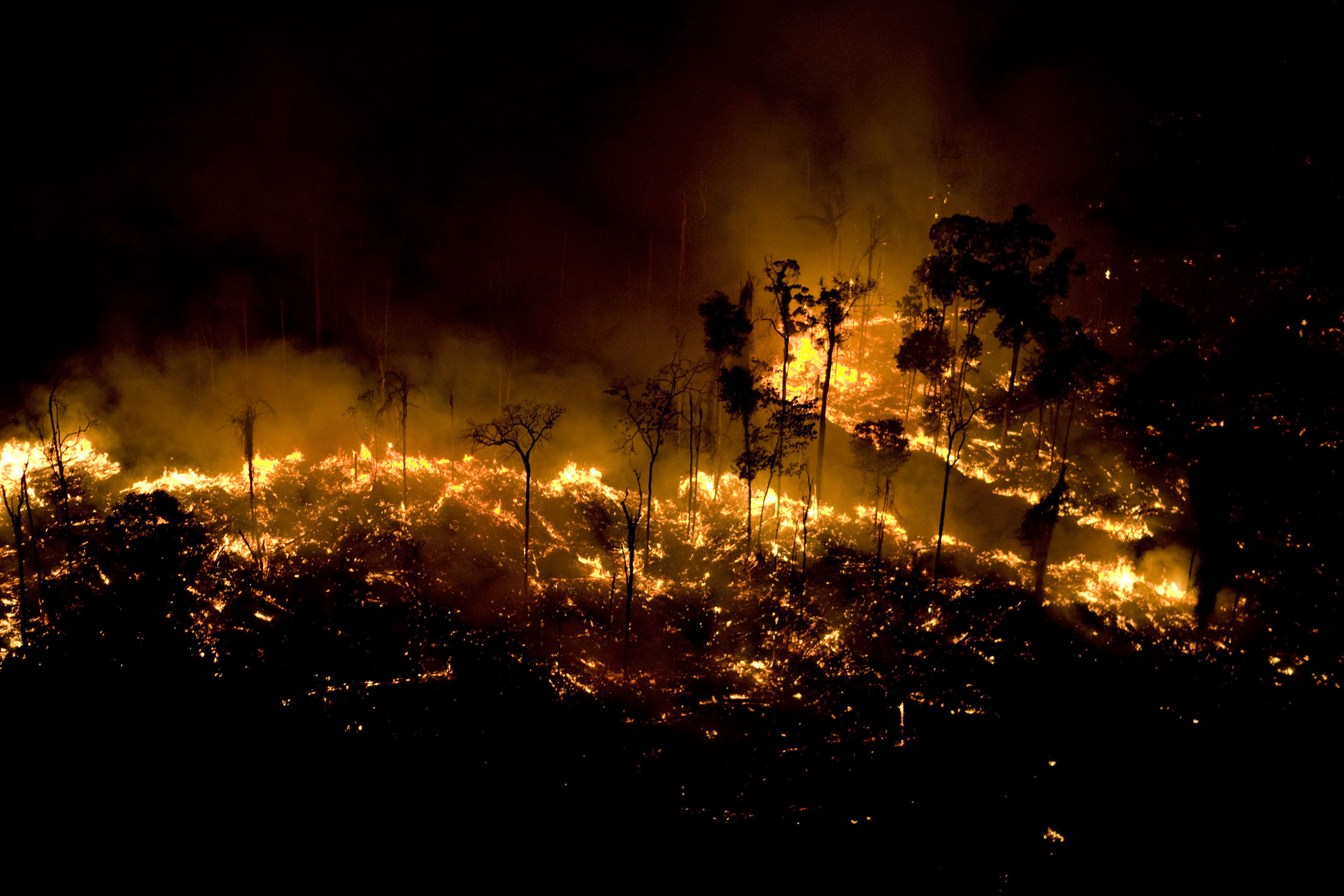 Amazônia: incêndios em áreas de floresta nativa cresceram 152% em 2023, aponta estudo