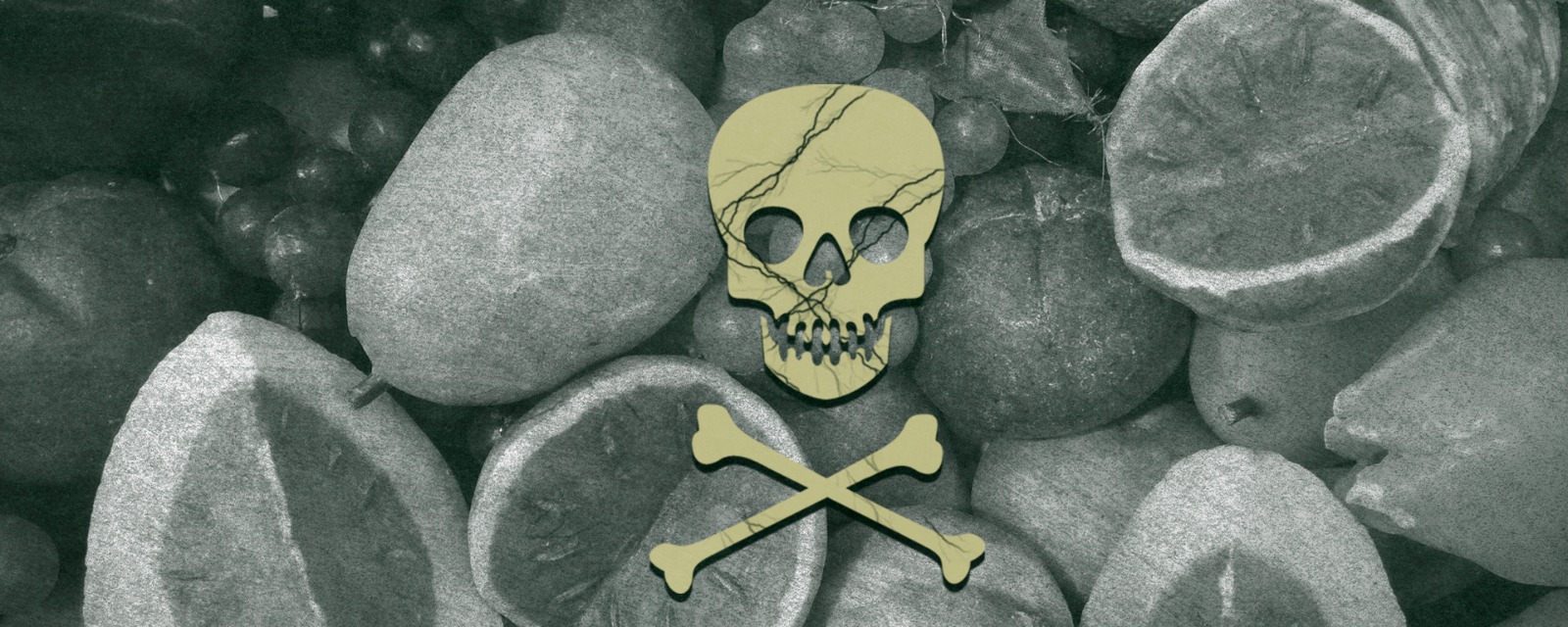 Produtos químicos tóxicos encontrados em alimentos no Reino Unido