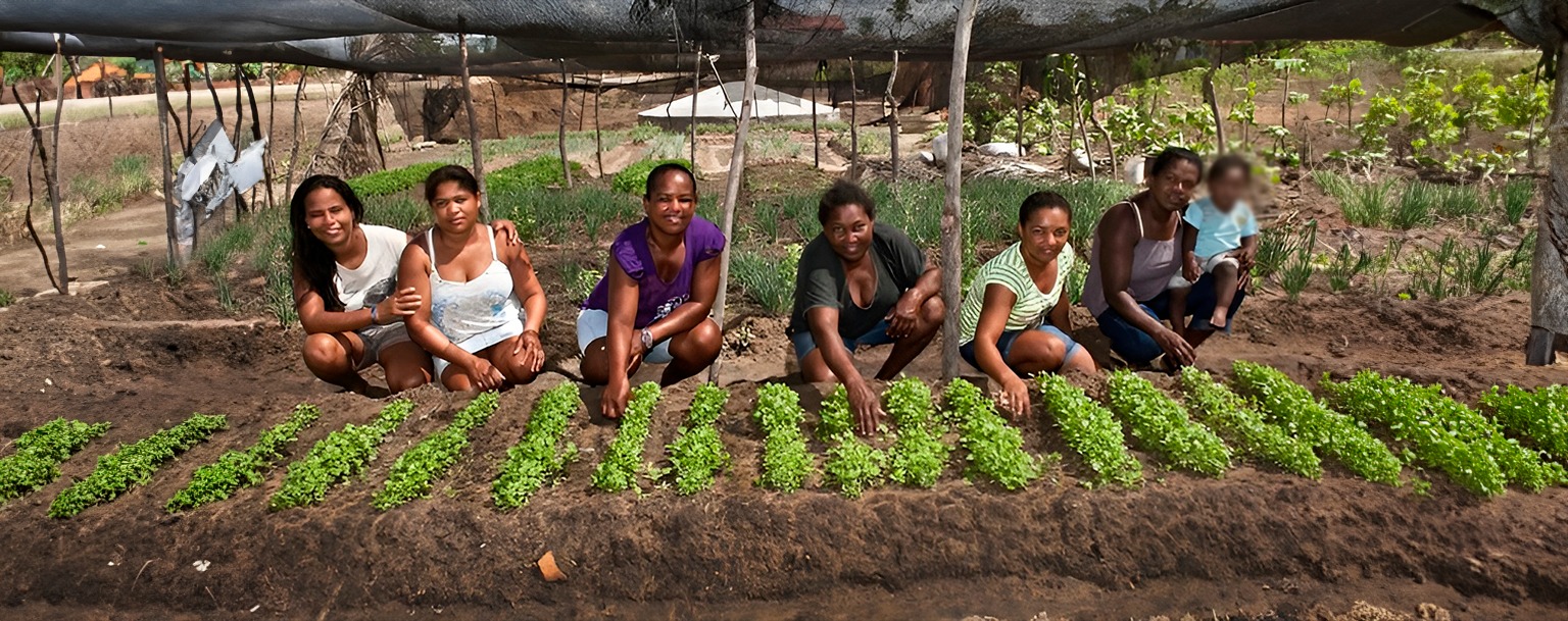 Produção regional: uma alternativa contra alimentos ultraprocessados