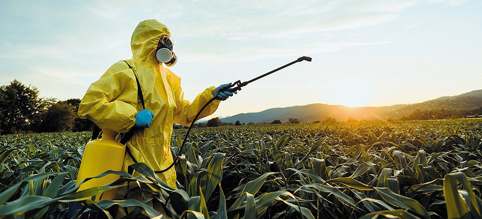 O agro é tóxico e não poupa ninguém