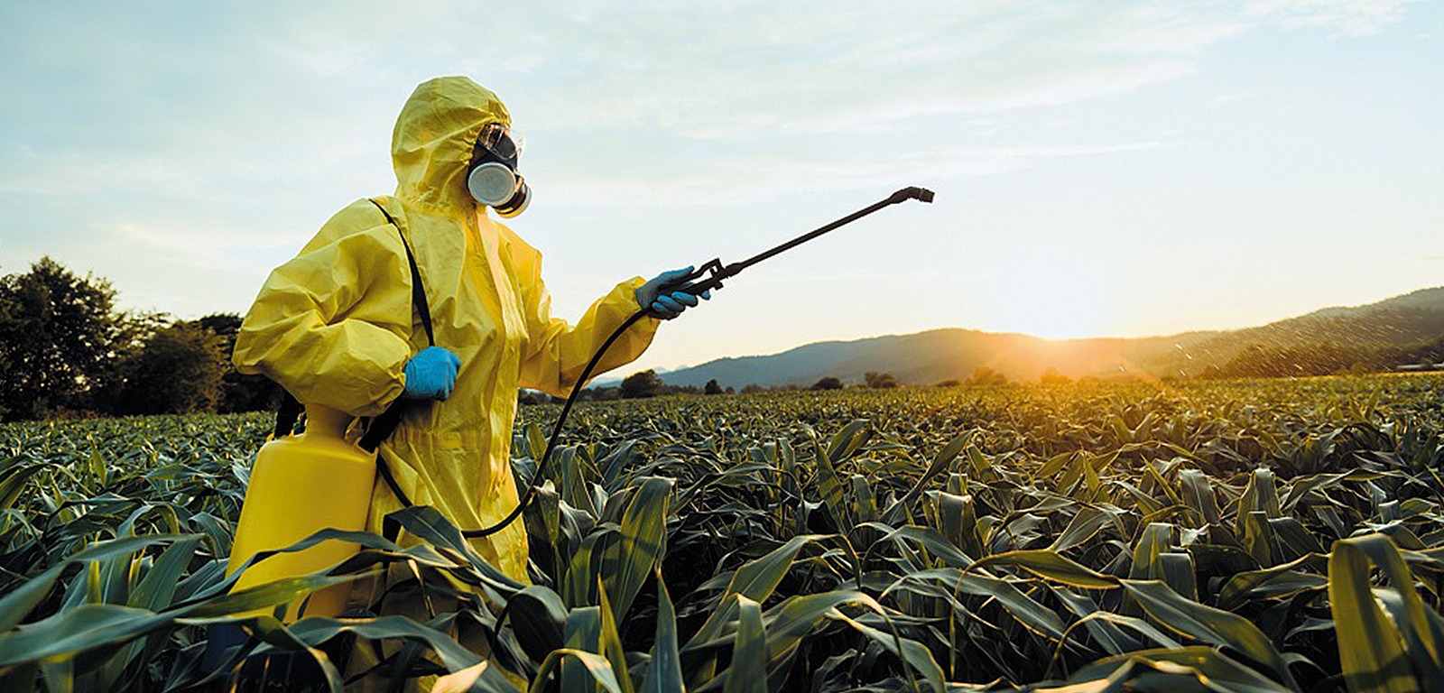 O agro é tóxico e não poupa ninguém