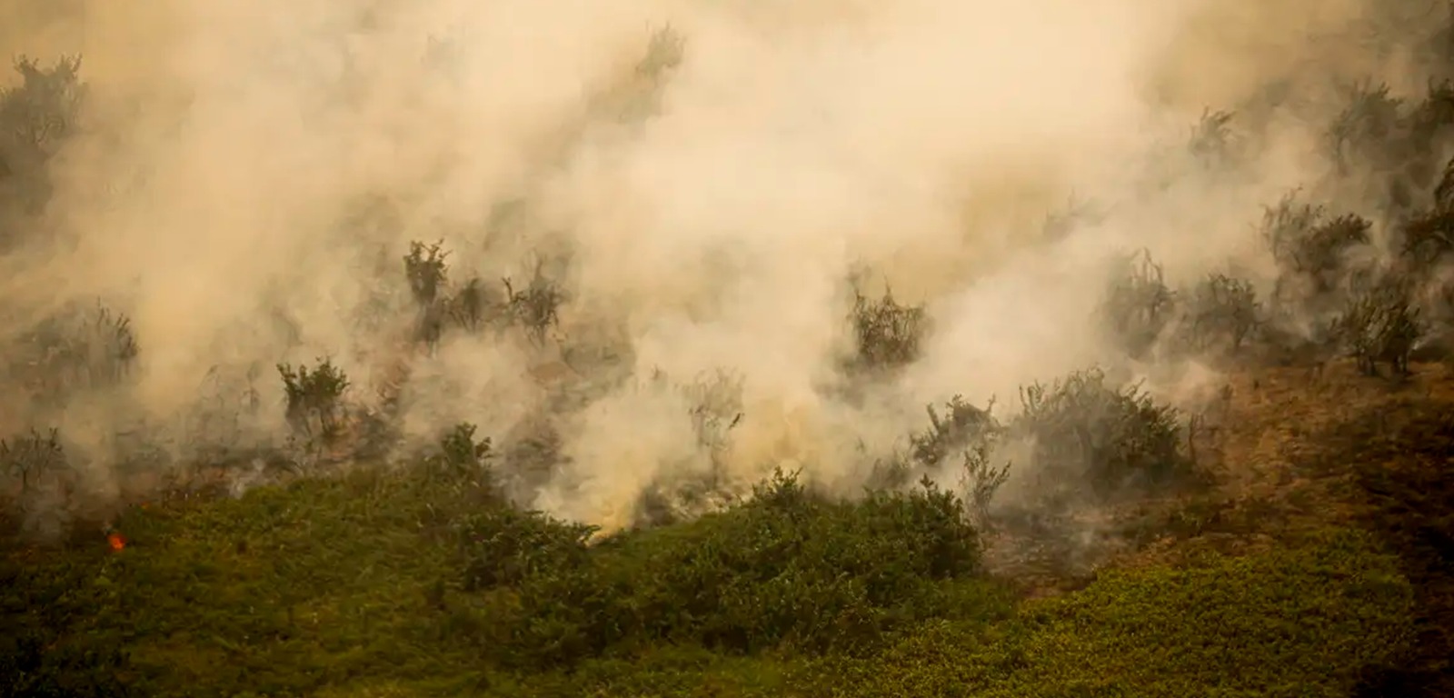Ministério do Meio Ambiente declara emergência em Mato Grosso