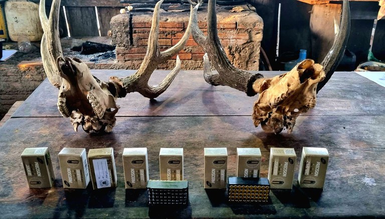 Polícia Federal investiga crimes ambientais em reserva legal em Tocantins