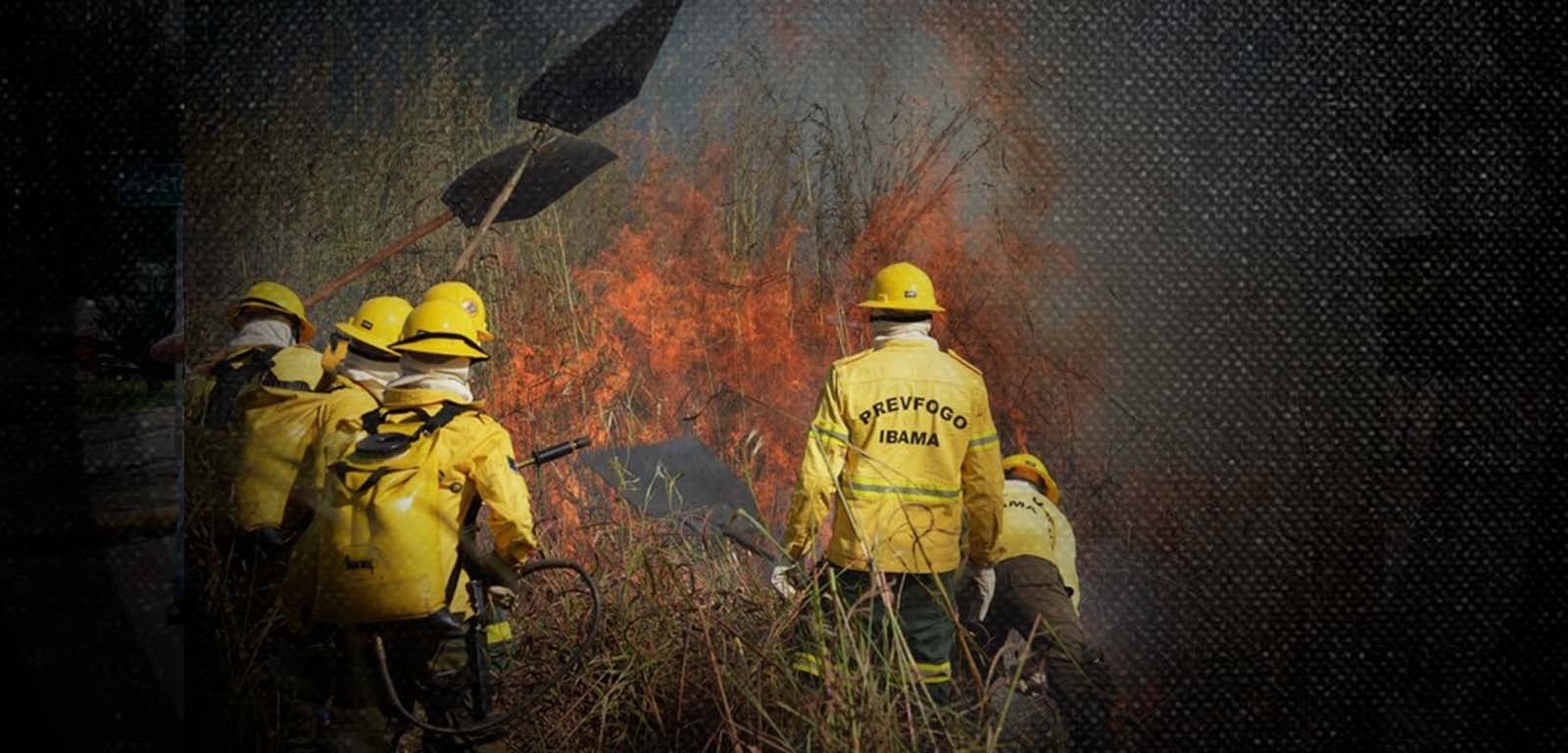 Em Mato Grosso, 67,3% dos focos de calor se concentram na Amazônia