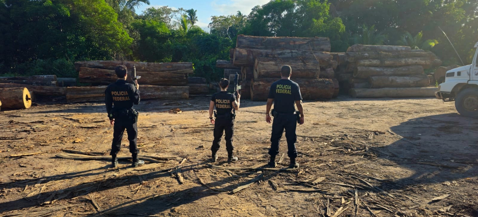 Justiça bloqueia R$ 1,2 milhão de investigados por desmatamento em terra indígena de Mato Grosso