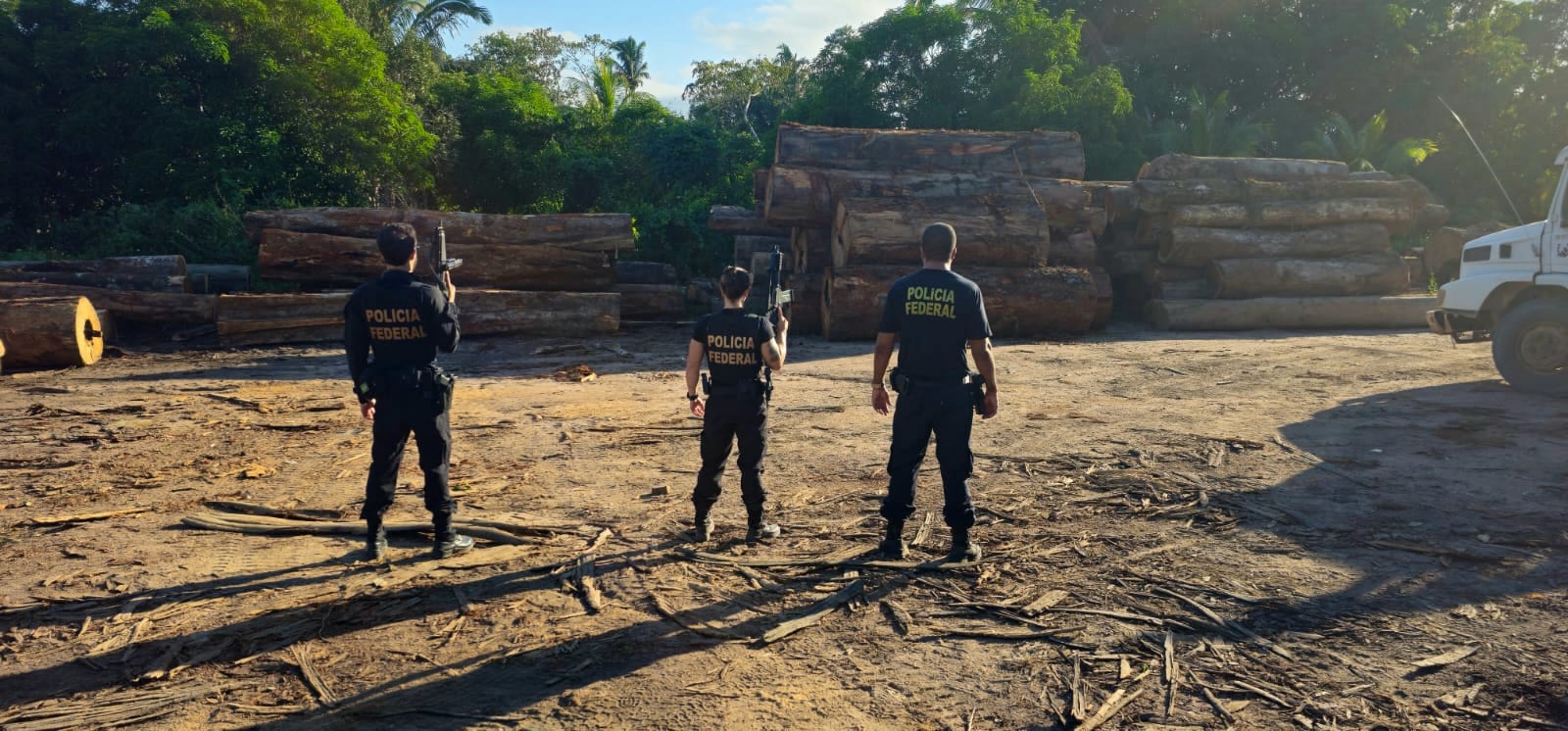 Justiça bloqueia R$ 1,2 milhão de investigados por desmatamento em terra indígena de Mato Grosso