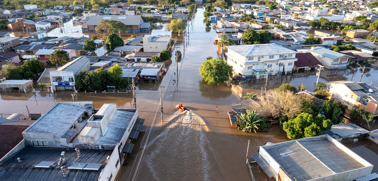 Entenda objetivos da 5ª Conferência Nacional do Meio Ambiente