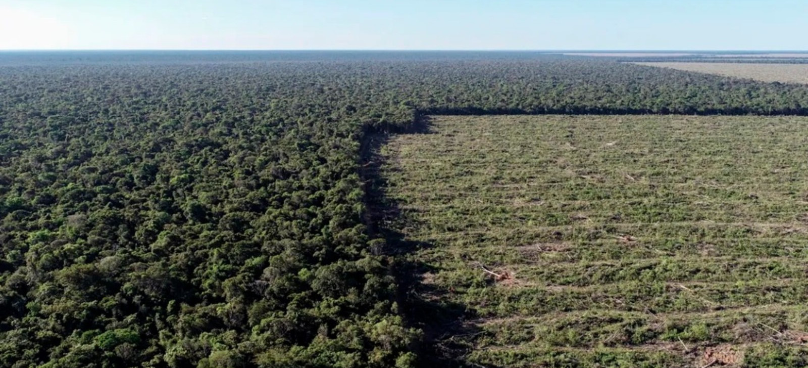 Projeto cria cadastro de infratores ambientais em Mato Grosso