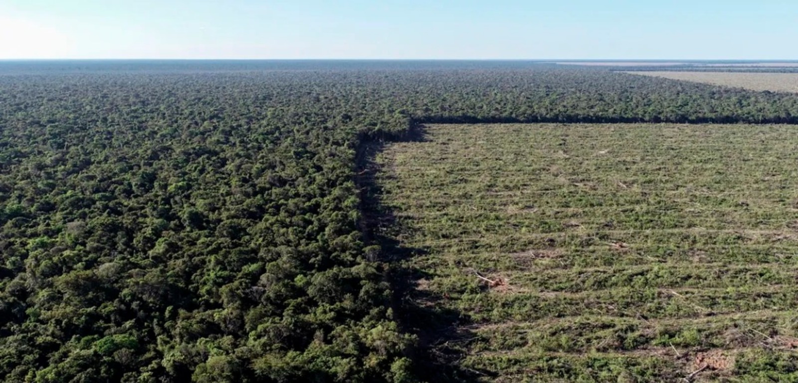 Projeto cria cadastro de infratores ambientais em Mato Grosso