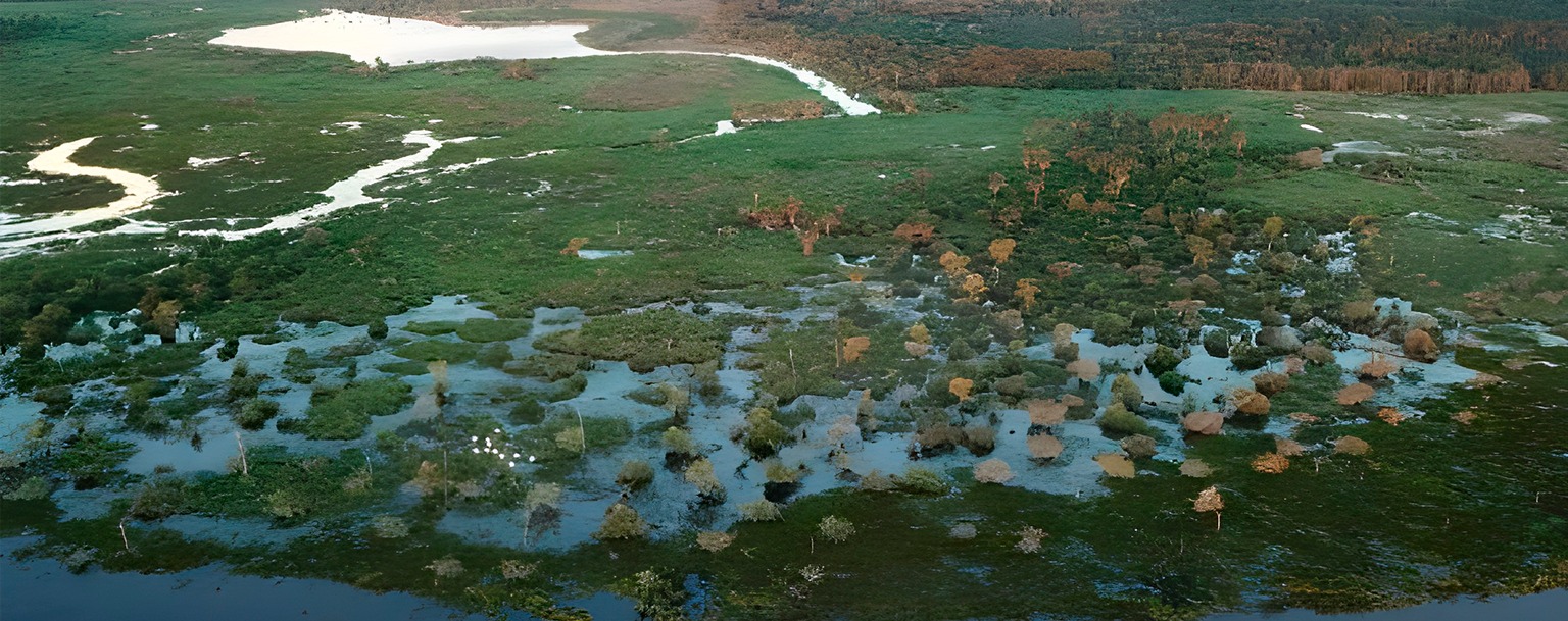 Agência de Águas declara situação crítica de escassez hídrica em bacia do Pantanal