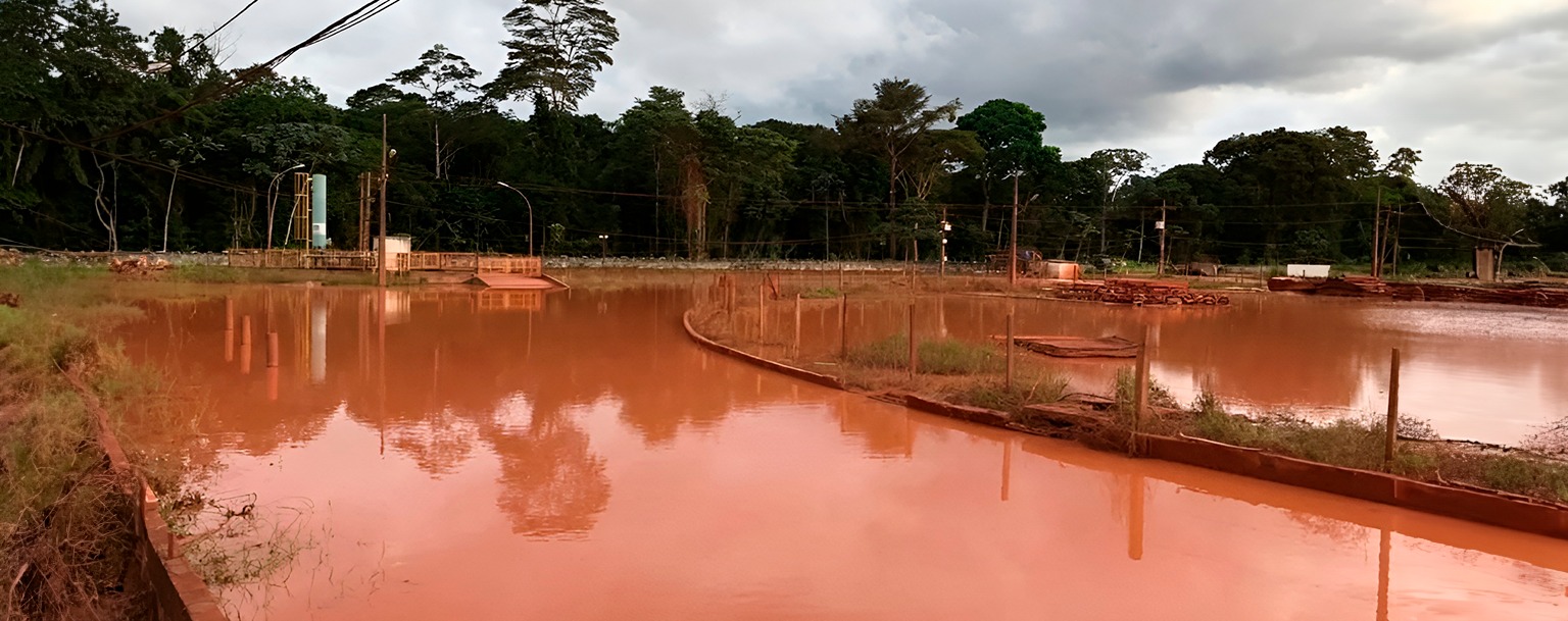 Ambientalista alerta que pescado é escasso em área ribeirinha afetada por mineração no Pará