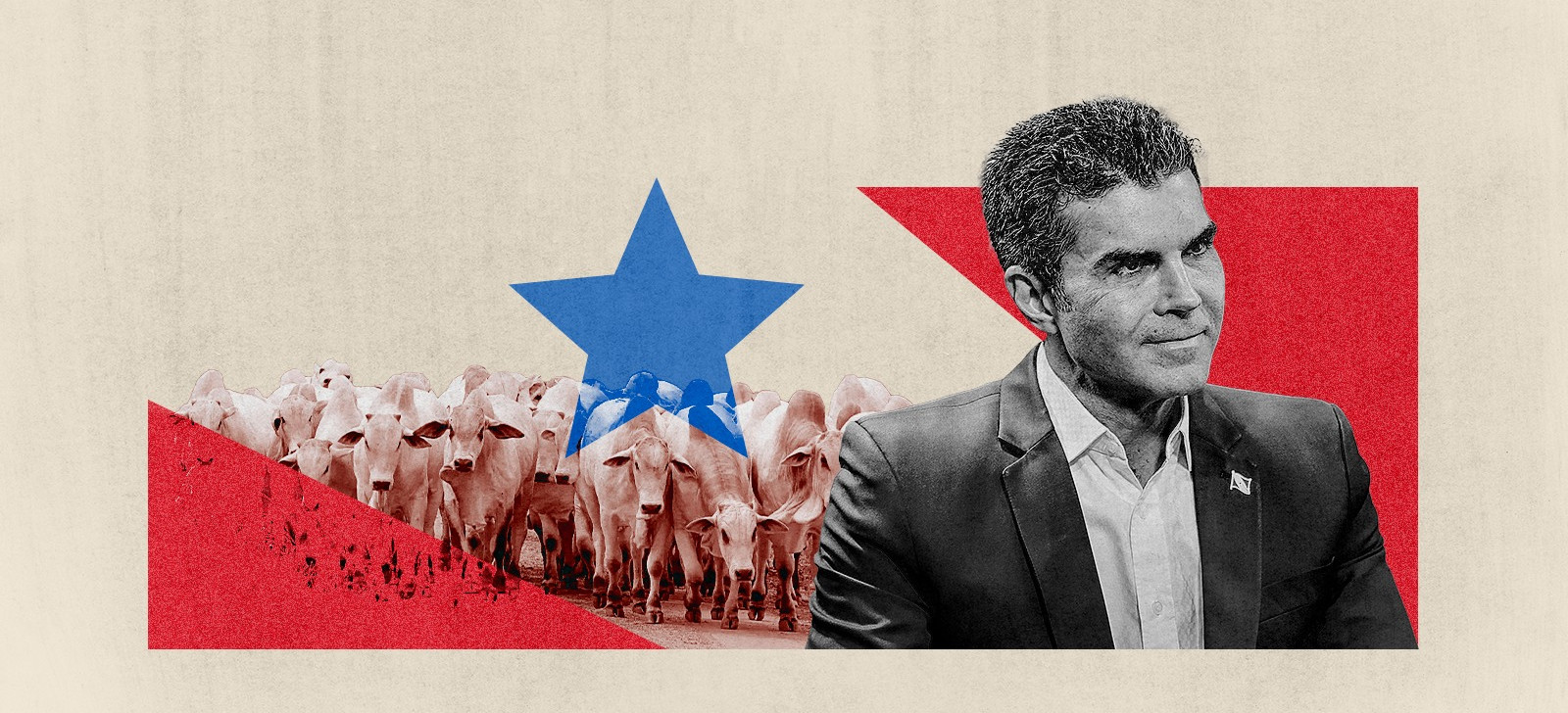 Com apoio de Helder Barbalho, produtores de gado resistem em sair de Floresta Nacional