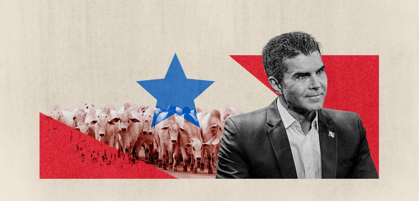 Com apoio de Helder Barbalho, produtores de gado resistem em sair de Floresta Nacional