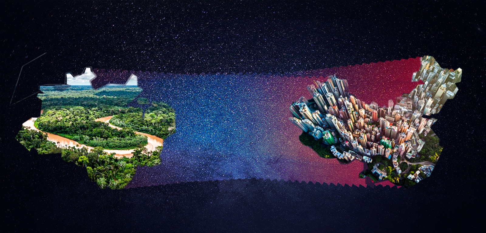 A conexão Amazônia-China