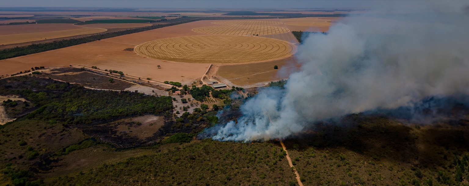 Desmatamento no Cerrado avança e ultrapassa Amazônia pela primeira vez, aponta MapBiomas