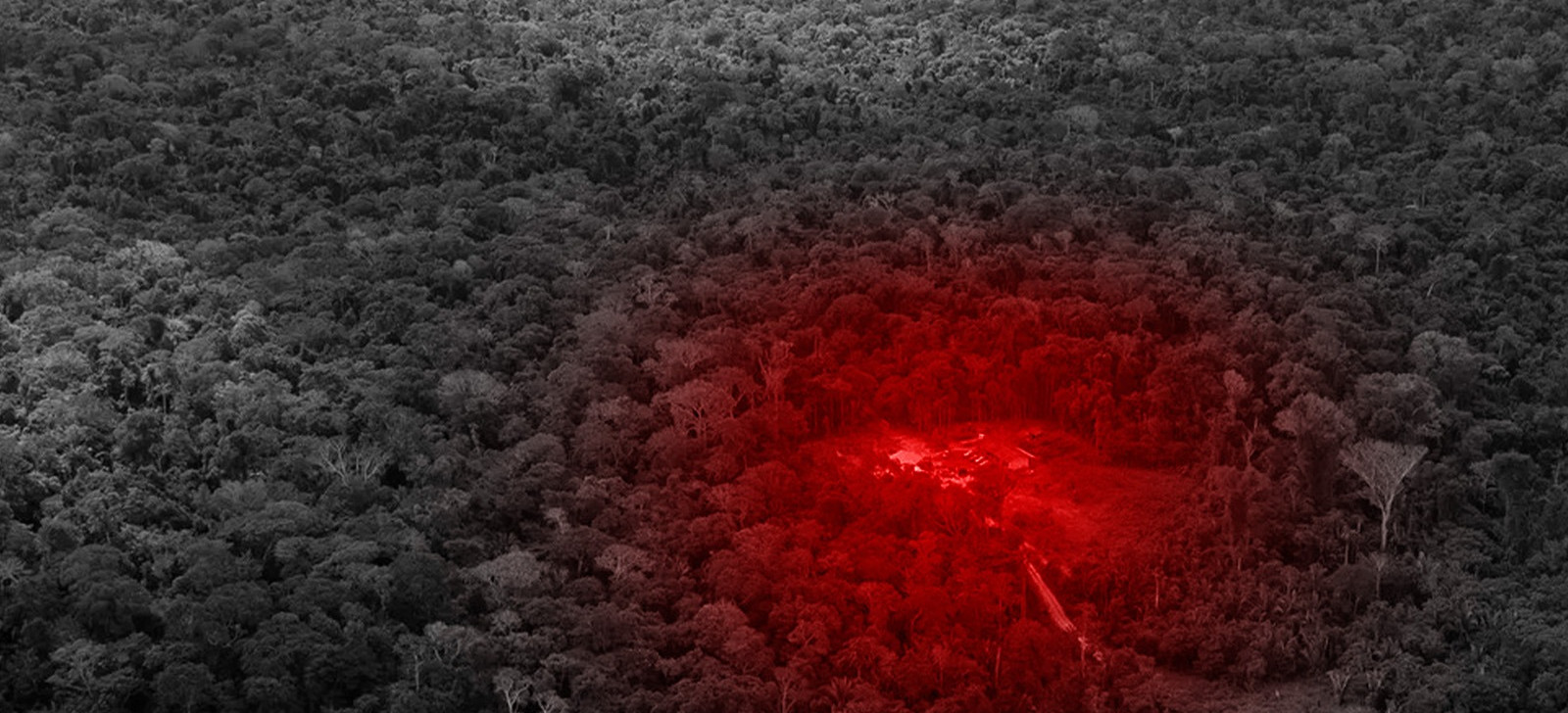 Funai tem 30 dias para regularizar terras de indígenas isolados