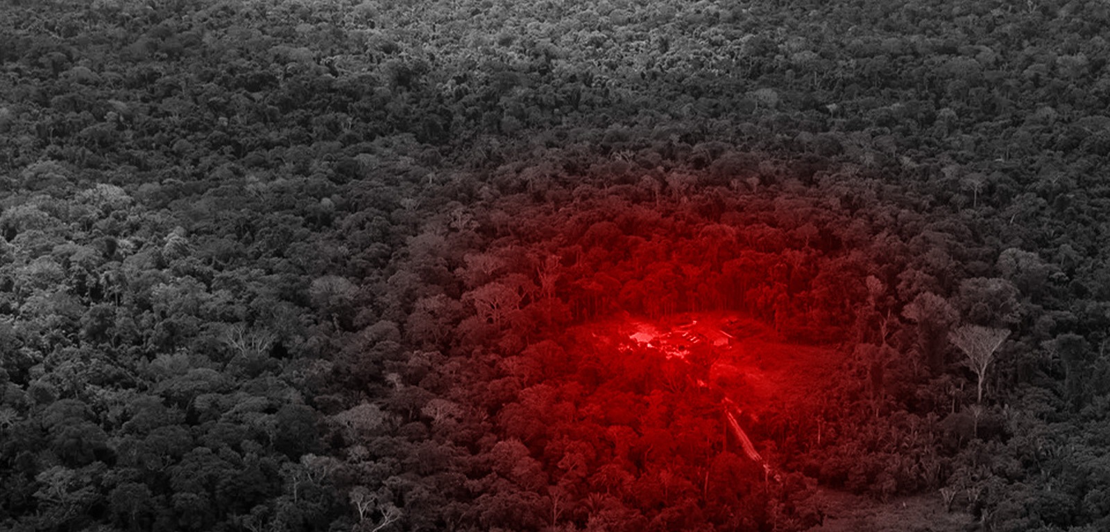 Funai tem 30 dias para regularizar terras de indígenas isolados