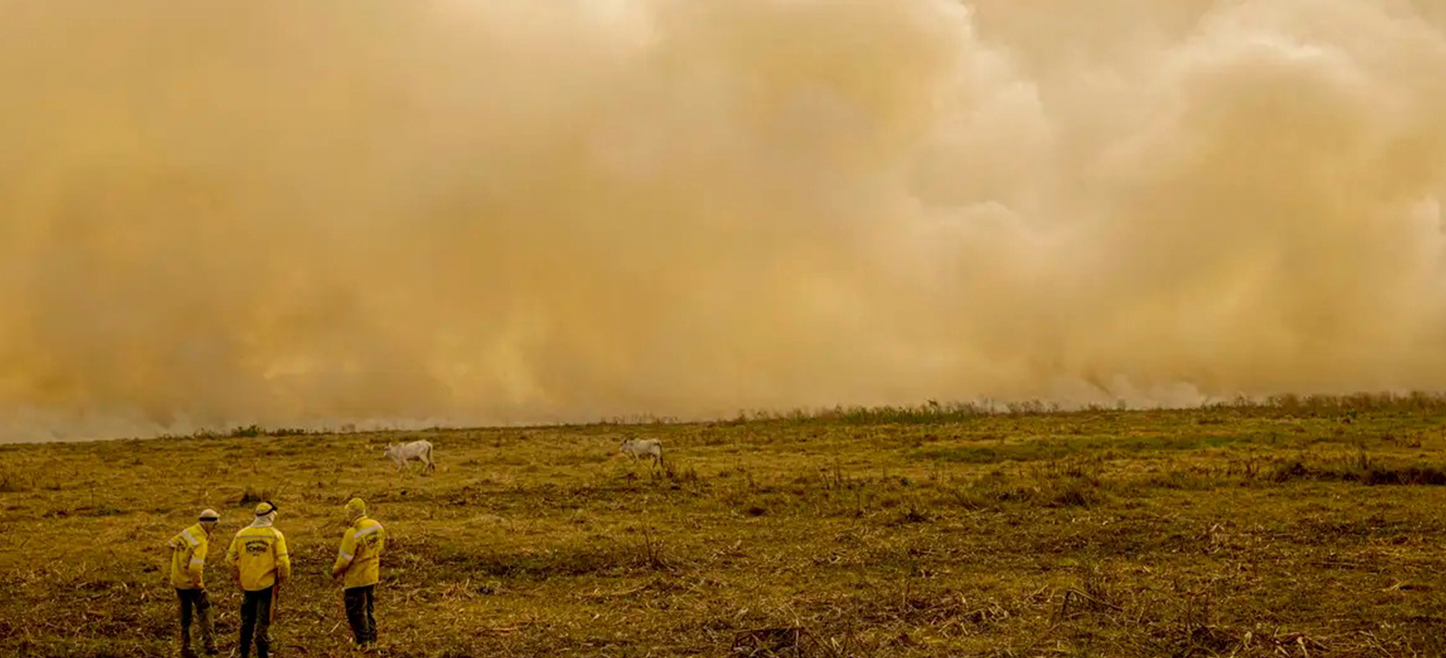 Queimadas no Pantanal destroem mais de 61 mil hectares em apenas quatro dias