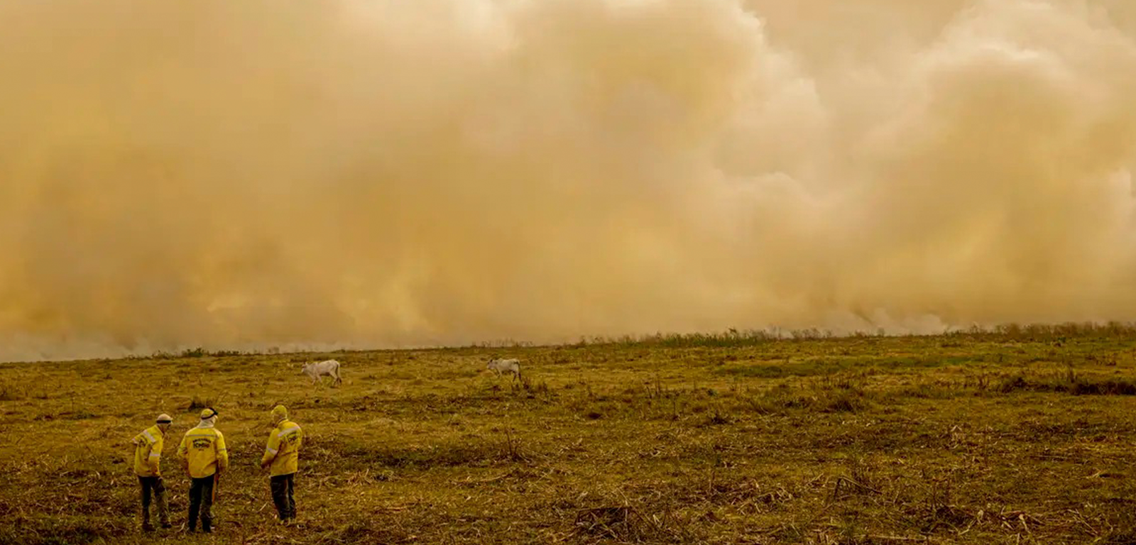 Queimadas no Pantanal destroem mais de 61 mil hectares em apenas quatro dias