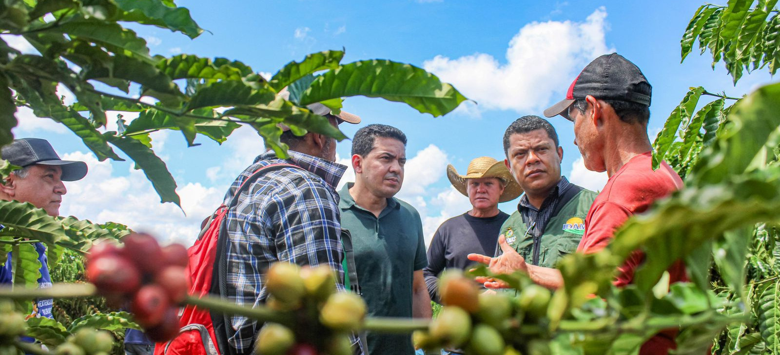 Emendas parlamentares de Delegado Péricles impulsionam produção de café no Amazonas