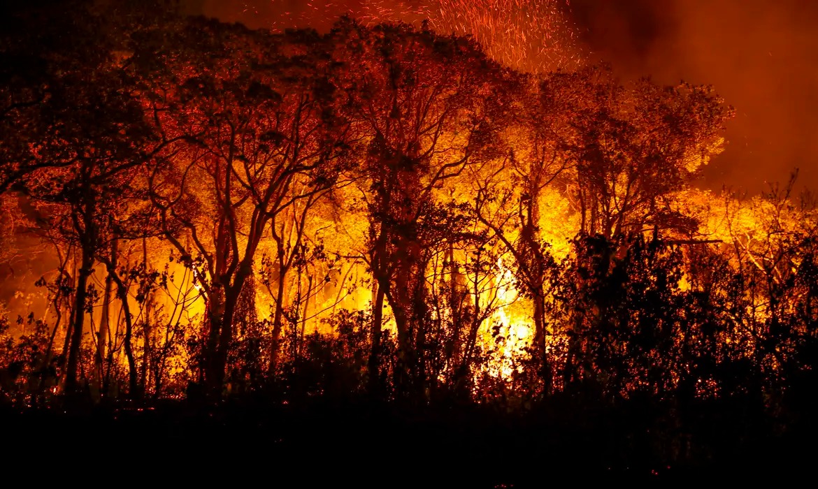 Queimadas no Pantanal (Joédson Alves/Agência Brasil)