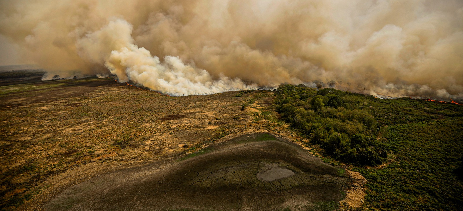 STF reconhece omissão do Congresso e fixa prazo para criar lei de proteção do Pantanal
