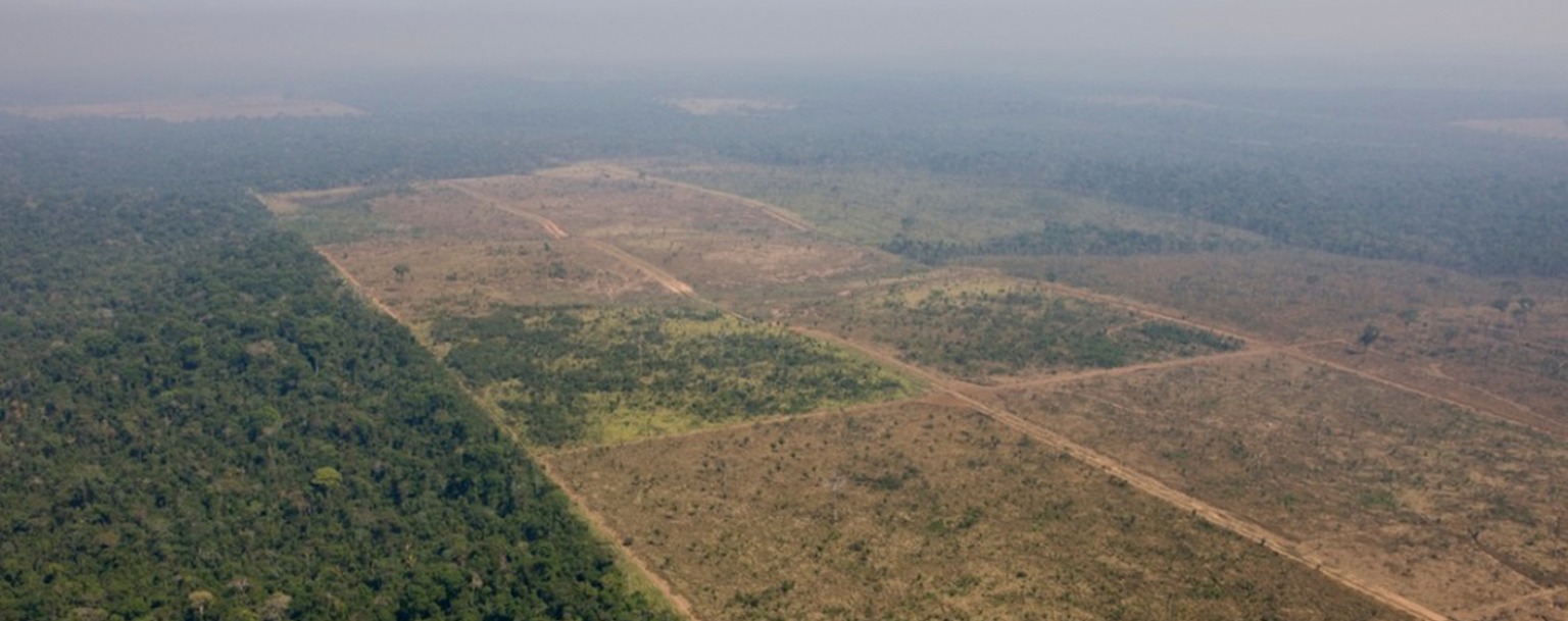 Área desmatada para produção agropecuária dentro da Floresta Nacional do Jamanxim (Daniel Beltrá/Greenpeace)