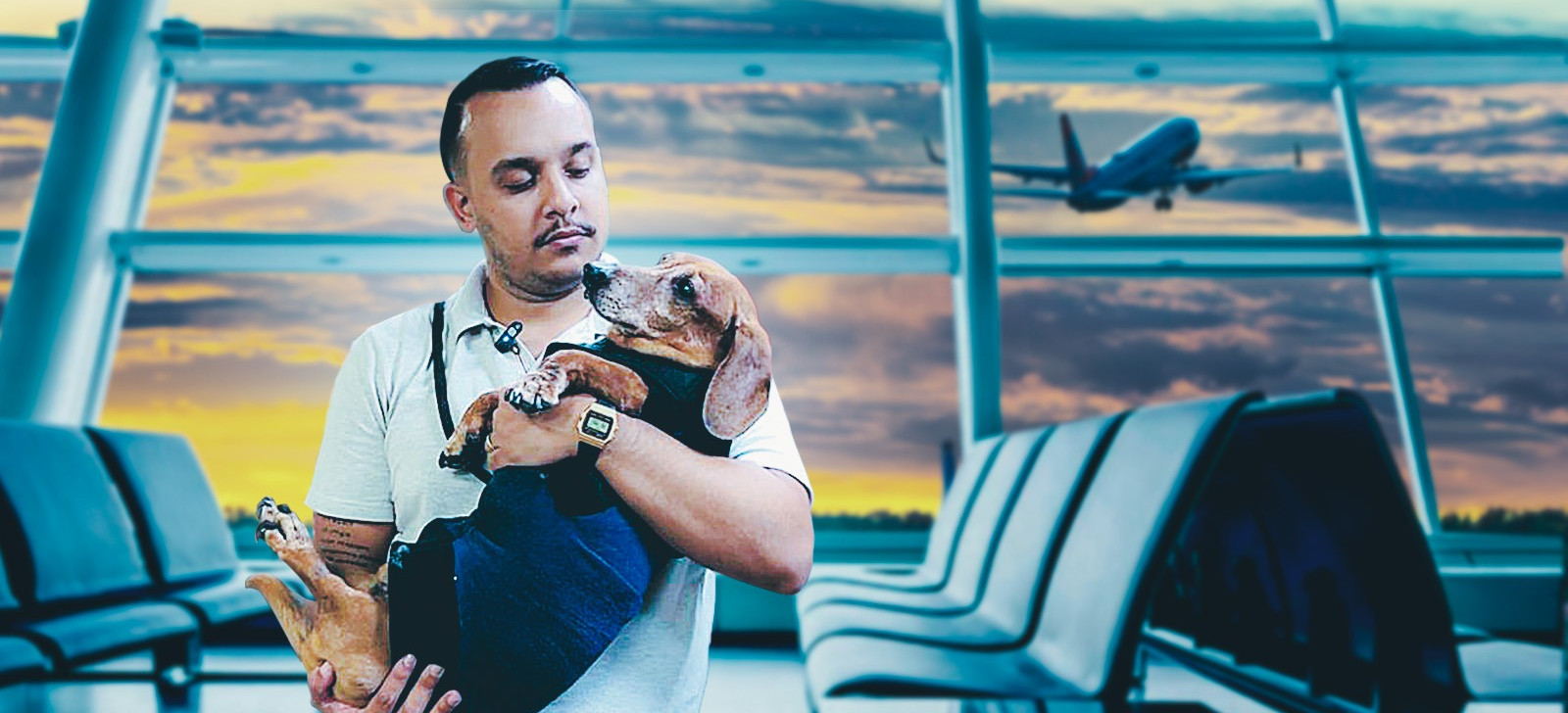 Gol descumpre decisão judicial e impede embarque de animais em Manaus