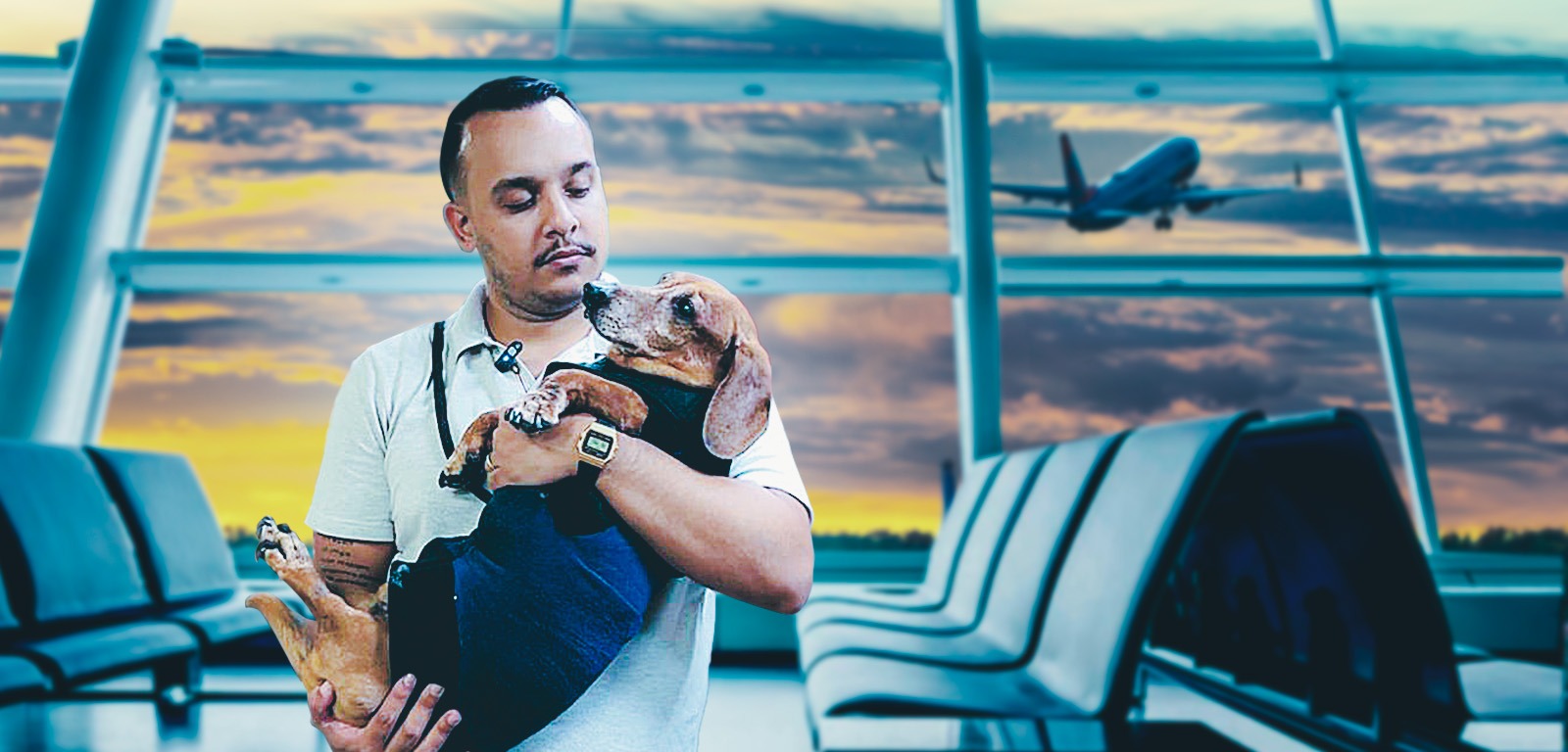 Gol descumpre decisão judicial e impede embarque de animais em Manaus