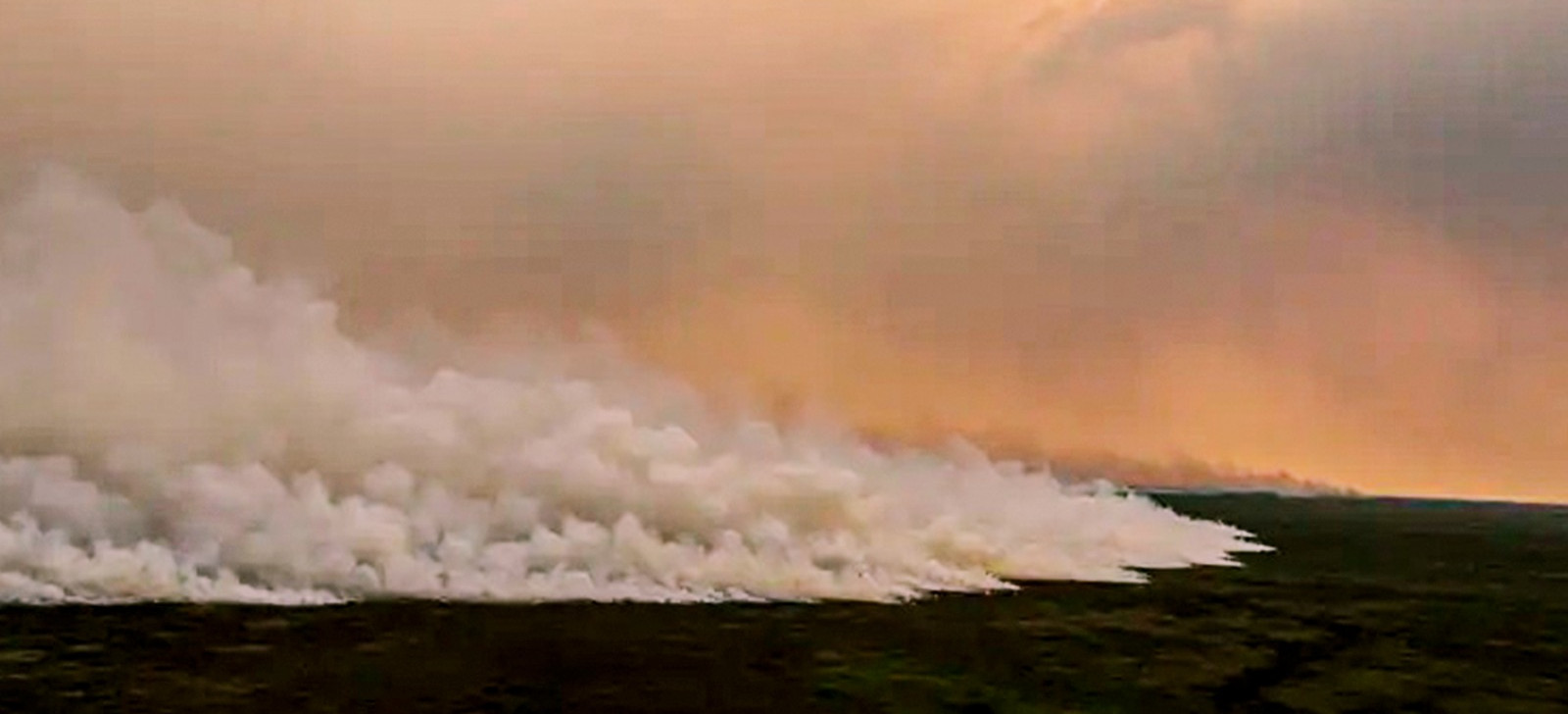Entidades pedem atuação de governos contra incêndios no Pantanal