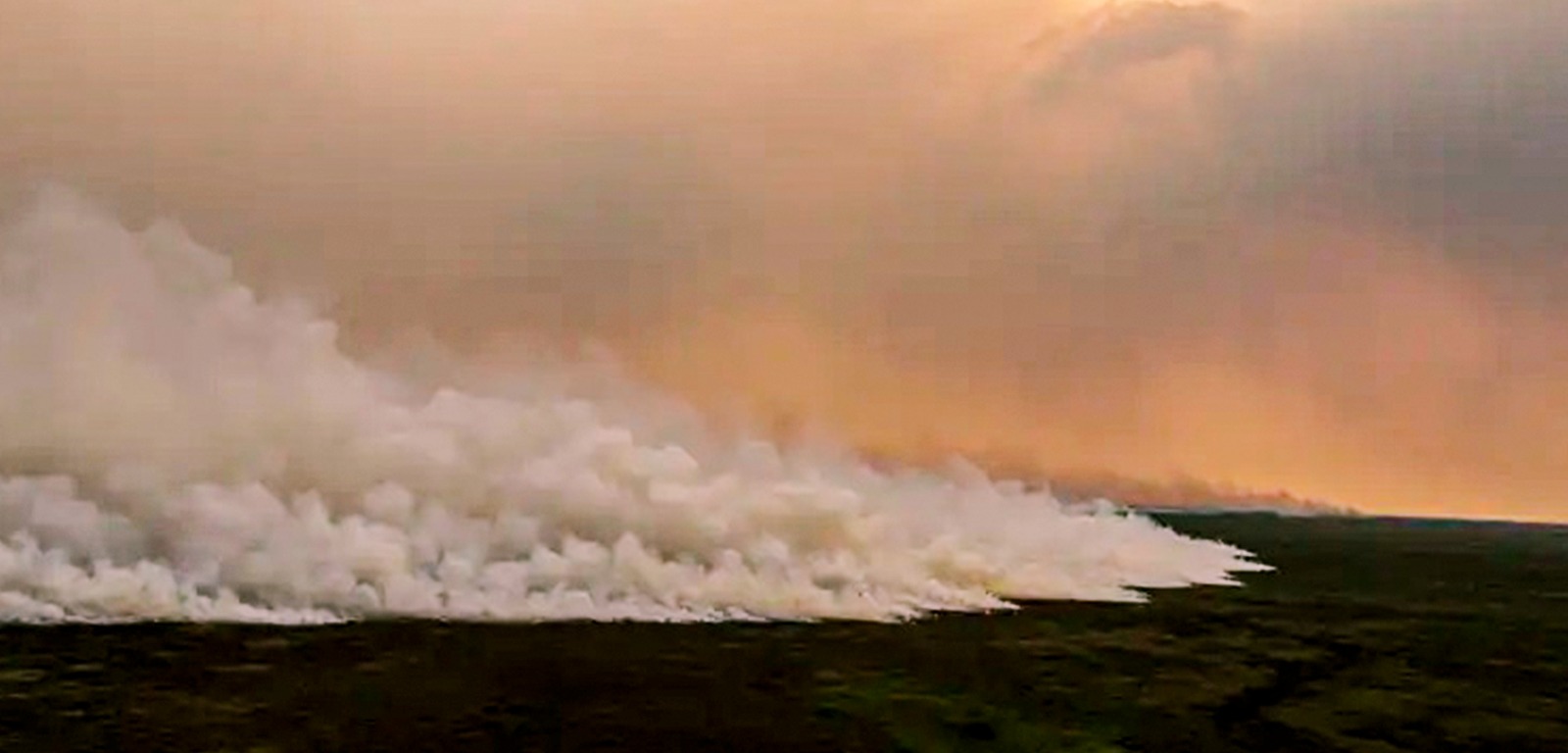 Entidades pedem atuação de governos contra incêndios no Pantanal