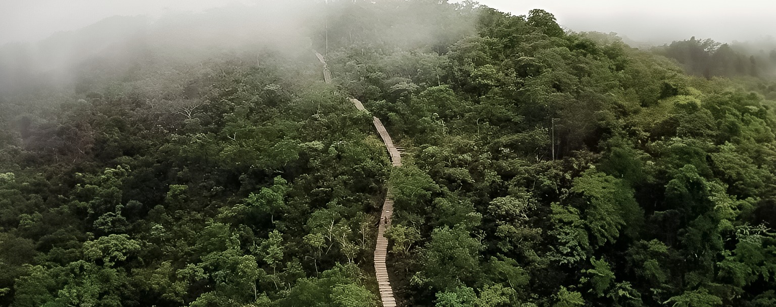 MPF-MT aciona órgãos ambientais para retirada de invasor no Parque Serra Azul
