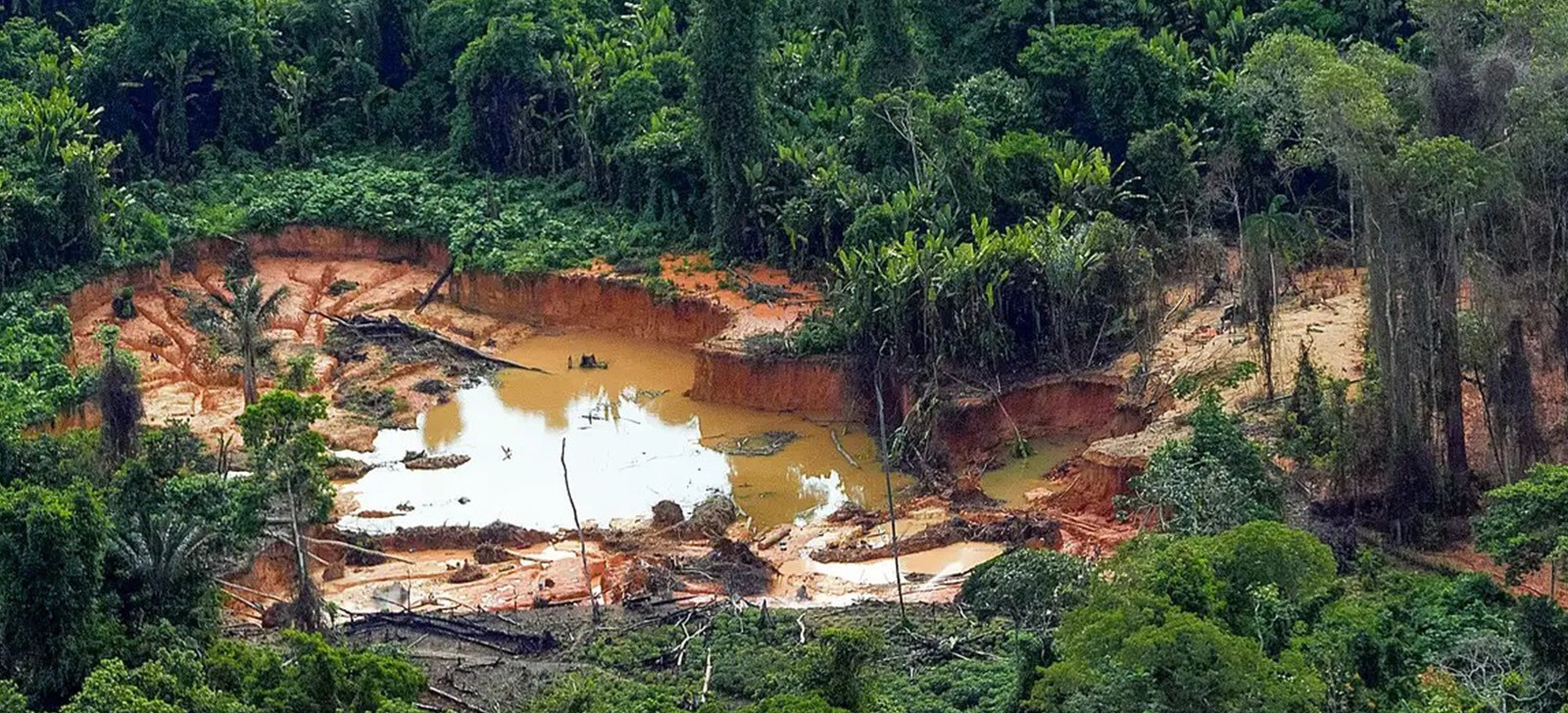 Laboratório da UFRR desenvolve estudo sobre ‘narcogarimpo’ na Amazônia