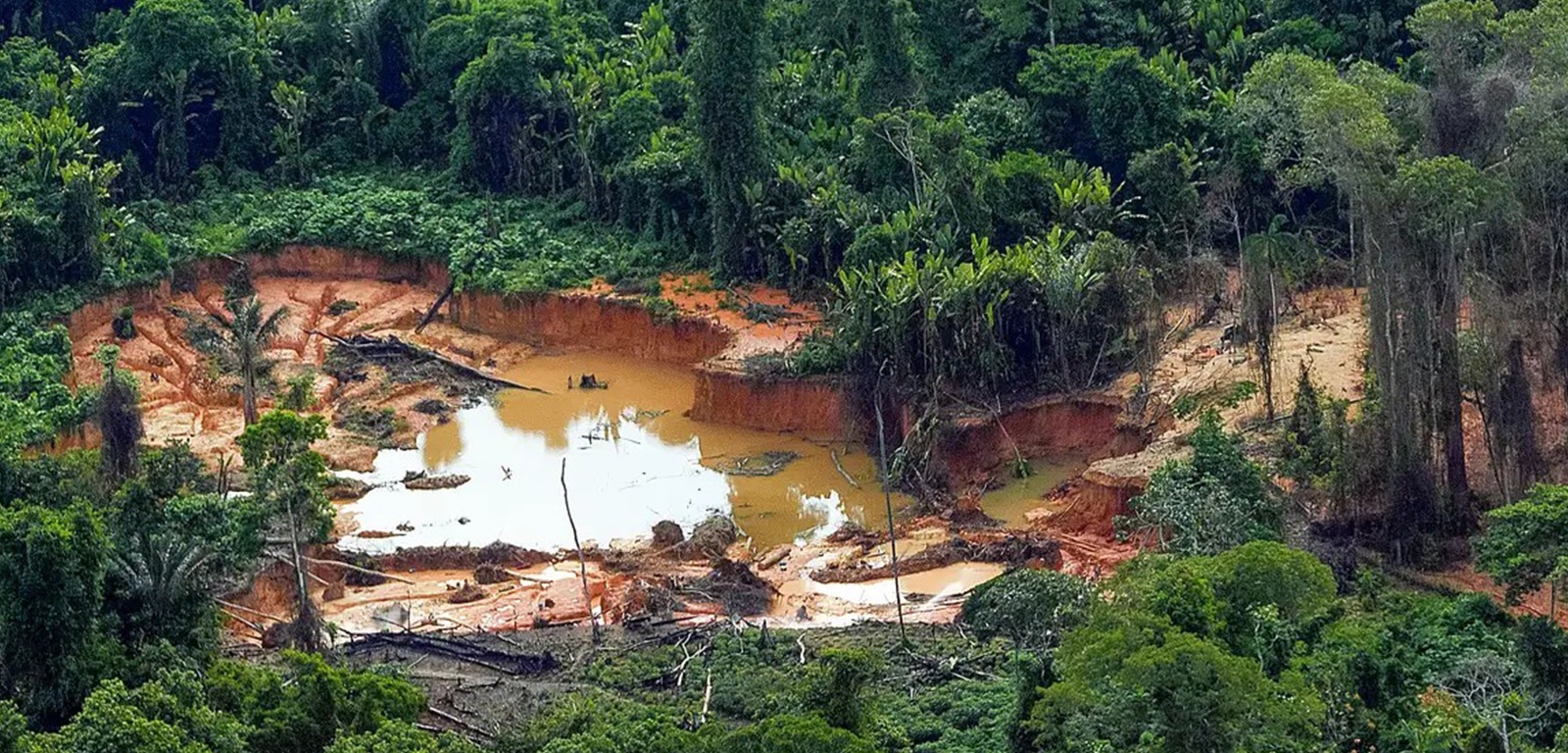 Laboratório da UFRR desenvolve estudo sobre ‘narcogarimpo’ na Amazônia