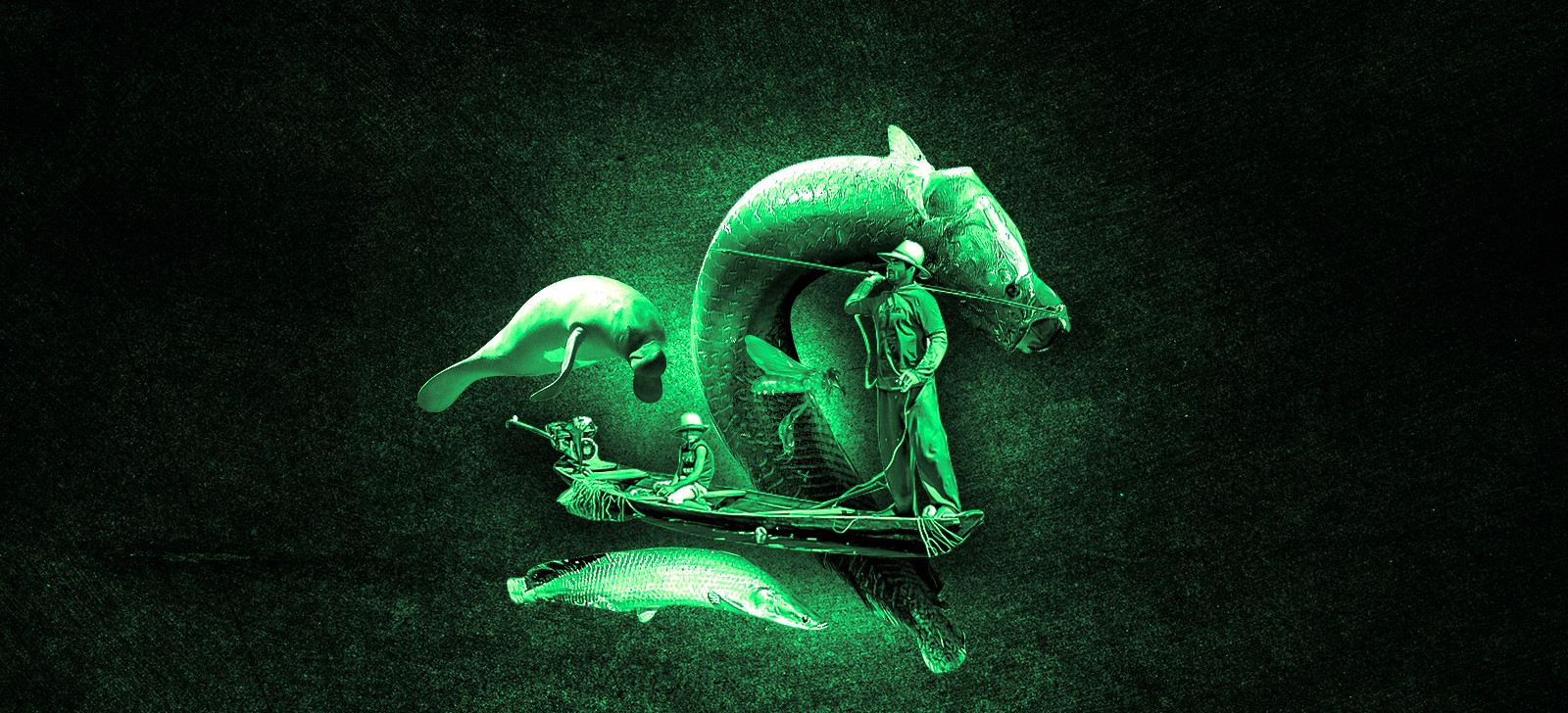 Instituto Mamirauá apresenta impactos de conservação da biodiversidade em Manaus