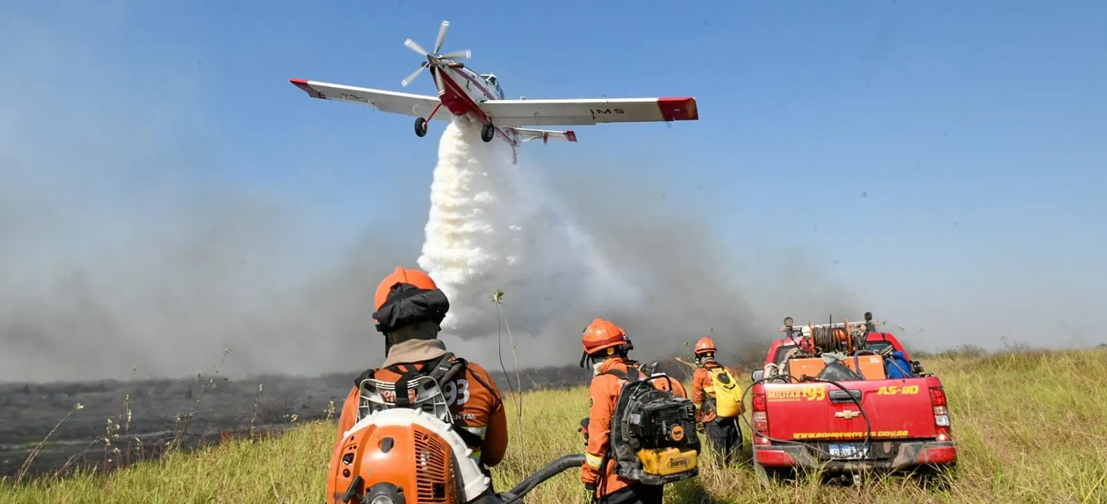 With more than 600,000 hectares burned in the Pantanal, Mato Grosso do Sul declares an emergency