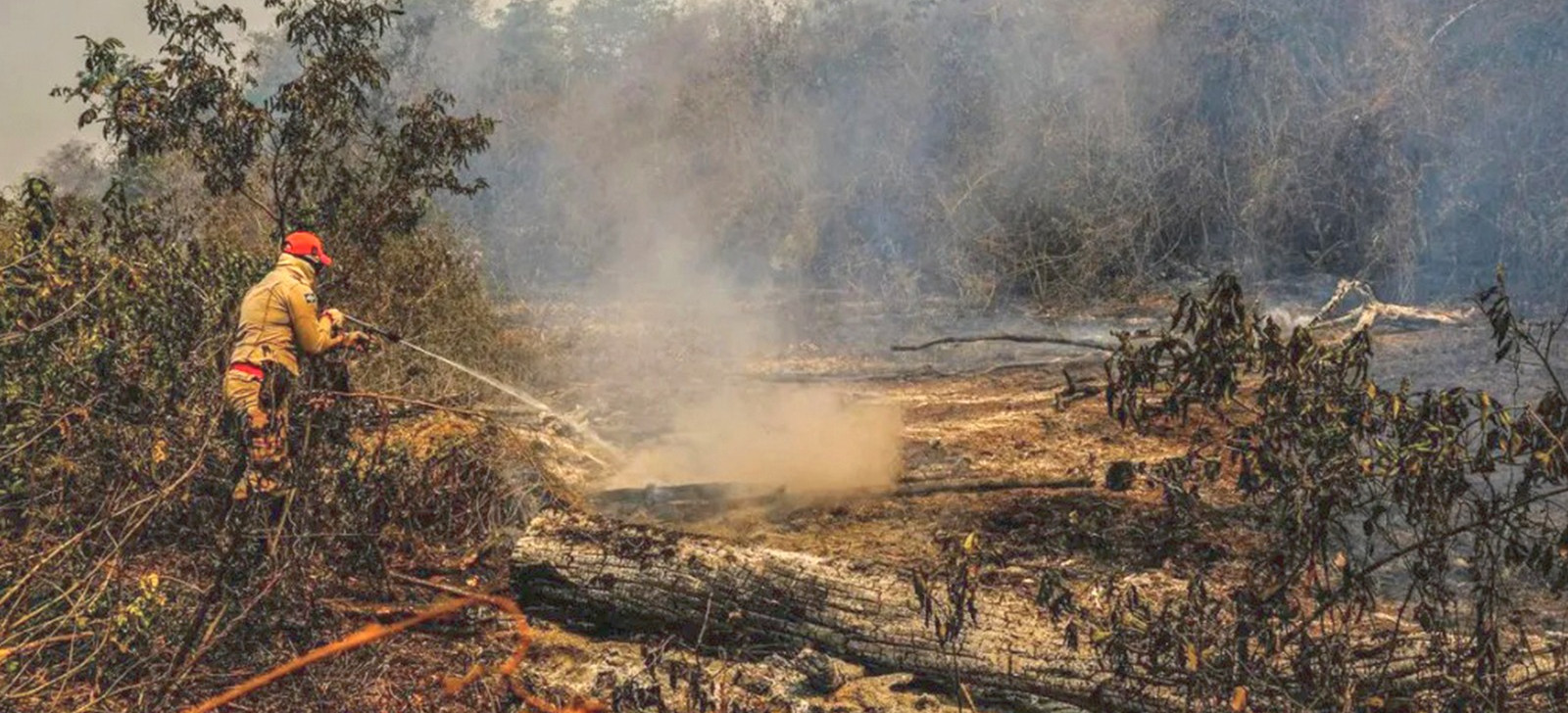 Bombeiro tenta conter fogo na região do Pantanal, em Mato Grosso (Mayke Toscano/Secom-MT)