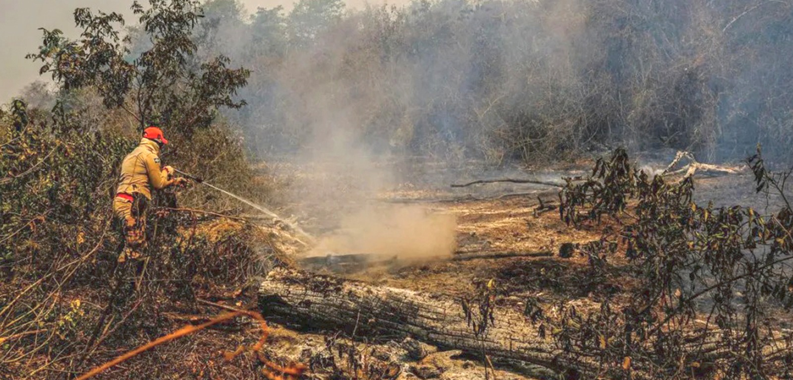 Governo federal vai destinar R$ 100 milhões para combater incêndios no Pantanal