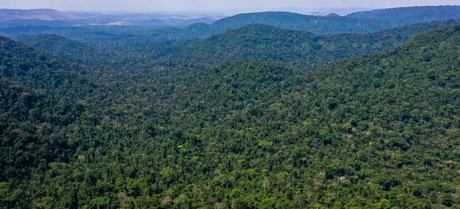 Noruega anuncia repasse de 270 milhões de dólares ao Fundo Amazônia