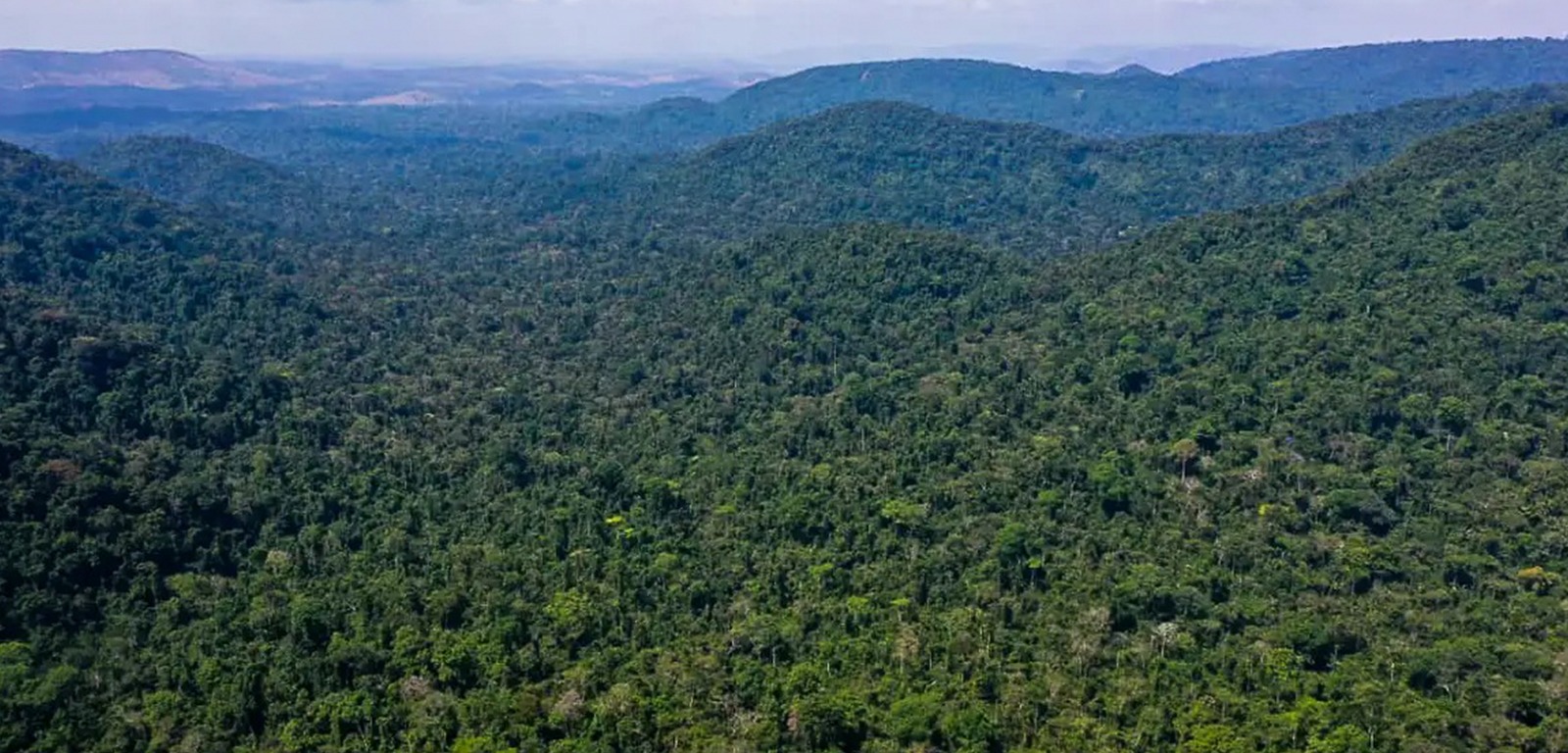Noruega anuncia repasse de 270 milhões de dólares ao Fundo Amazônia