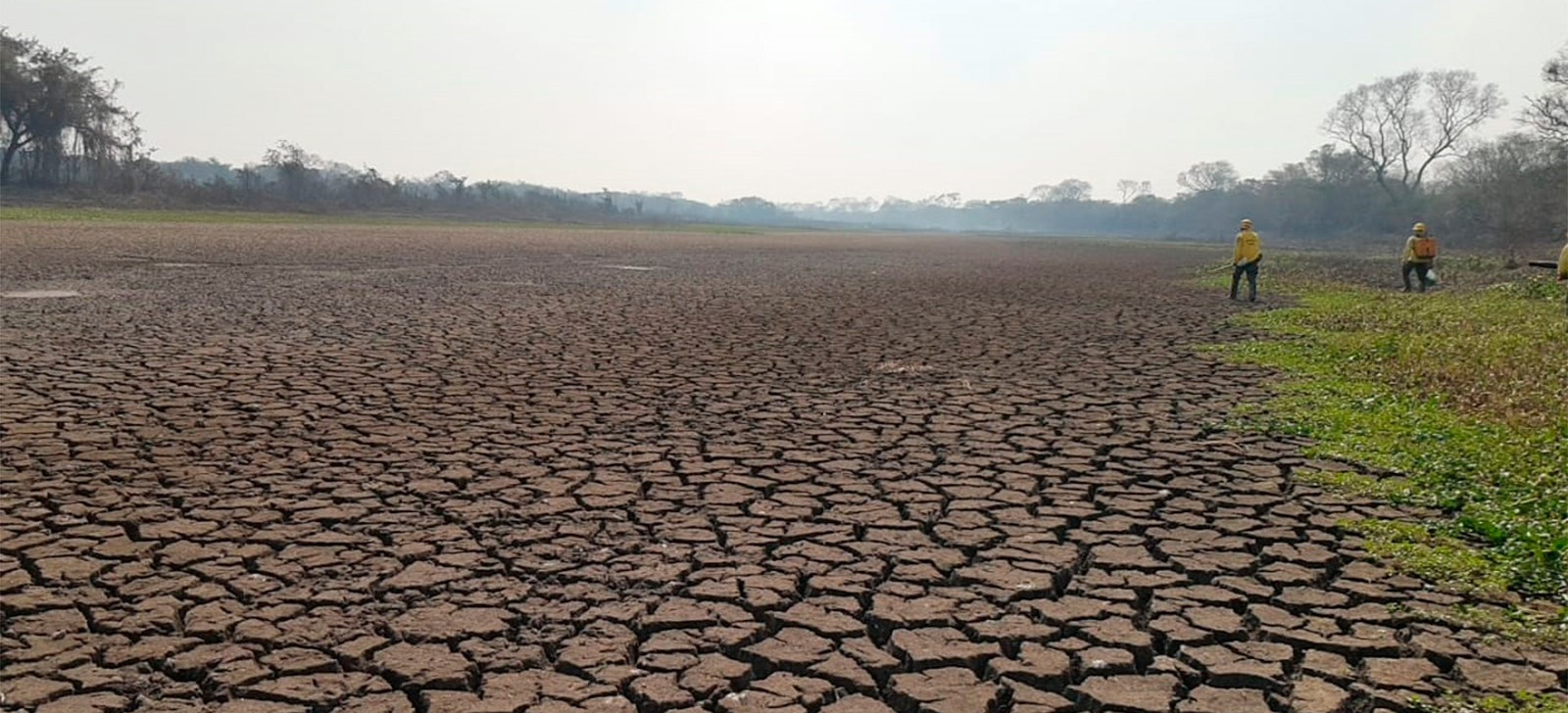 Estados do Pantanal foram os que mais perderam superfície de água