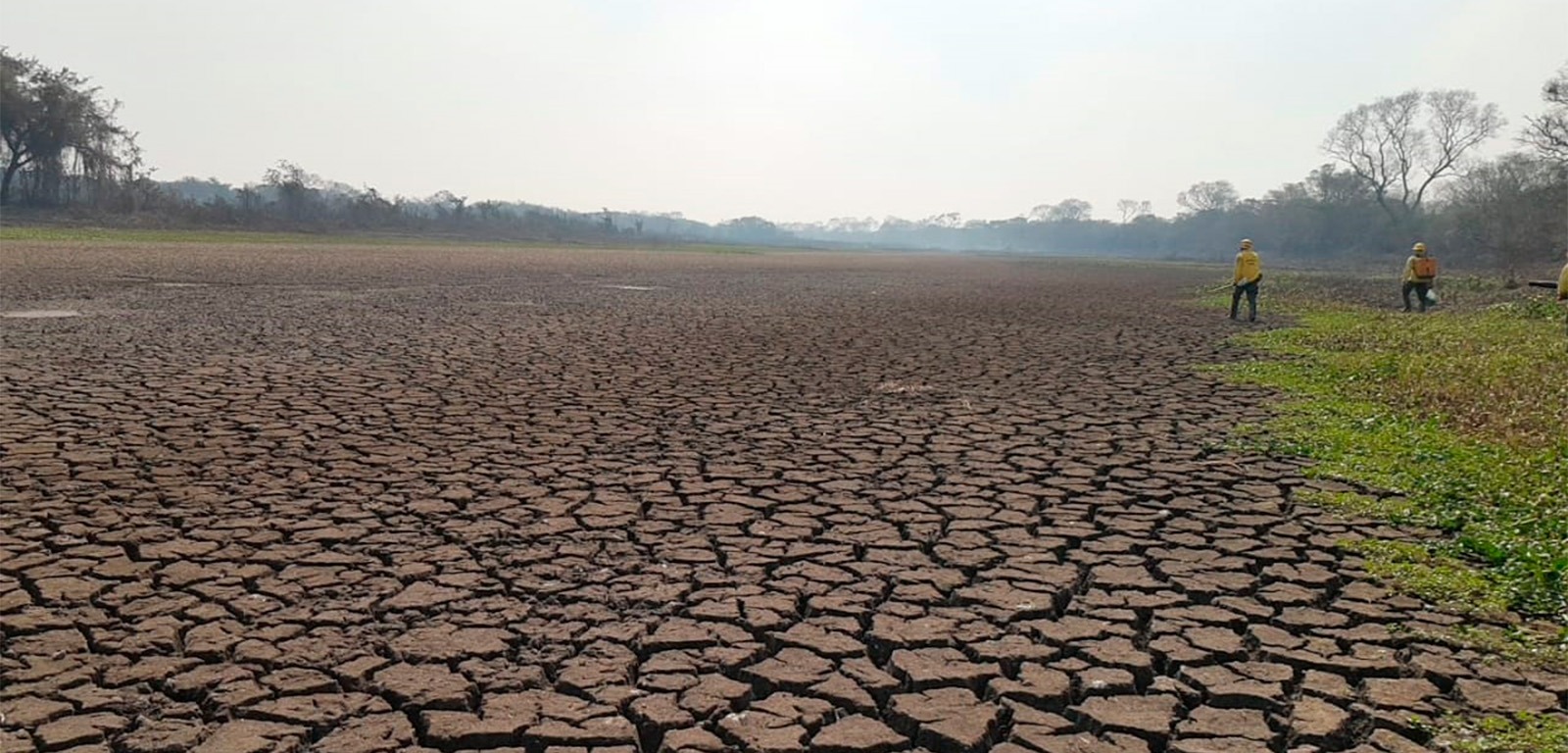 Estados do Pantanal foram os que mais perderam superfície de água