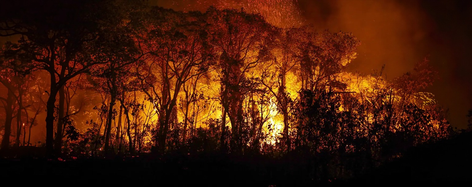 Frente de combate a incêndios no Pantanal ganha reforço da Força Nacional