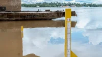 ANA declara estado de escassez hídrica nos rios Madeira e Purus