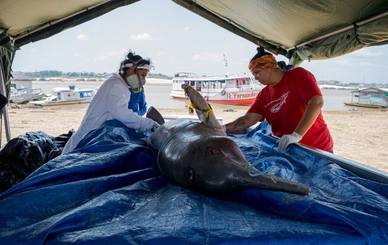 Pesquisadores alertam para aquecimento generalizado das águas na Amazônia