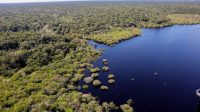 UE vai doar com R$ 120 milhões para o Fundo Amazônia em nova iniciativa