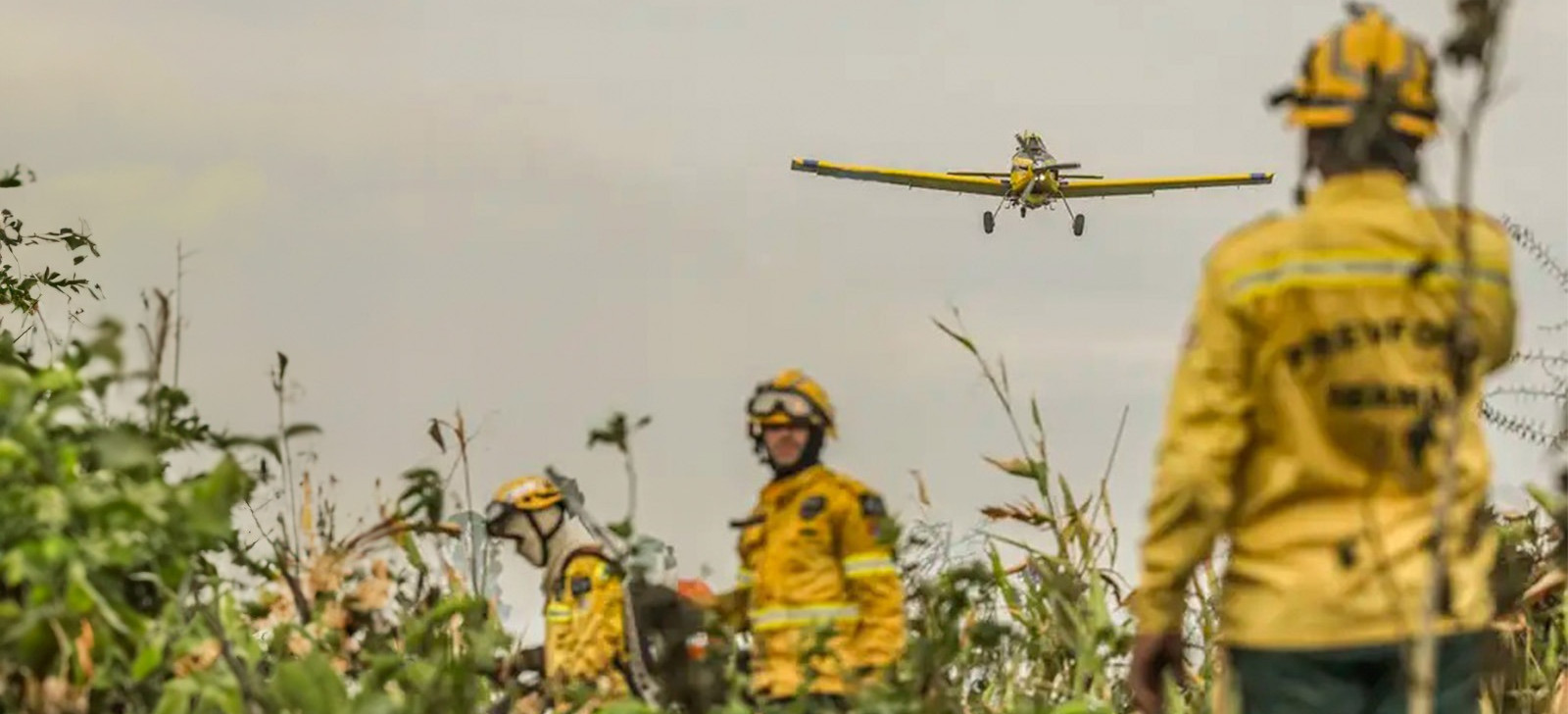 MPF recomenda criação de brigada permanente para combater incêndios no Pantanal